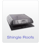 Shingle Roof