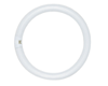 CLEARANCE: Satco S6500 Satco FC8T9/CW/RS 22W T9 Circline Cool White Fluorescent Bulb